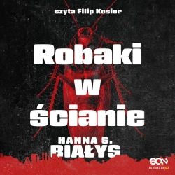 audiobook Robaki w ścianie - Hanna Szczukowska-Białys