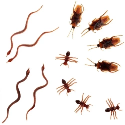 Robaki rekwizyt halloweenowy 6szt - Arpex