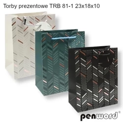 Torebka prezentowa 23x18x10cm MIX - Penword