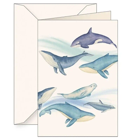 Karnet B6 + koperta 6144 Ssaki morskie - Tassotti