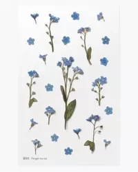 Naklejki ozdobne kwiaty - Niezapominajki - Appree