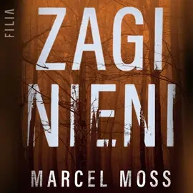 audiobook Zaginieni - Marcel Moss