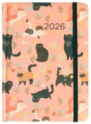 Kalendarz dzienny 2026 B6 Koty ALBI - praca zbiorowa