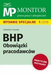 eBook BHP Obowiązki pracodawców - Sebastian Kryczka