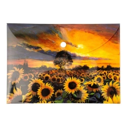 Paczka Teczka A5 kopertowa PP Słoneczniki 5 szt. - Narcissus