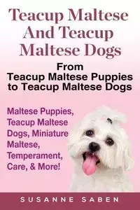 Teacup Maltese And Teacup Maltese Dogs - Susanne Saben