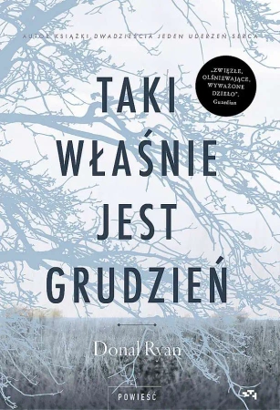 Taki właśnie jest grudzień - Ryan Donal