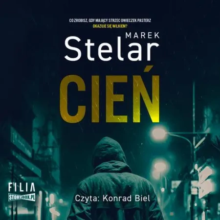 audiobook Cień - Marek Stelar