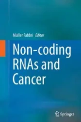 Non-coding RNAs and Cancer - Fabbri Muller