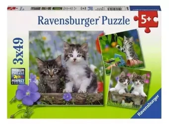 Puzzle 3x49 Kocięta - Ravensburger