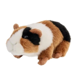 Świnka morska 18cm - Beppe
