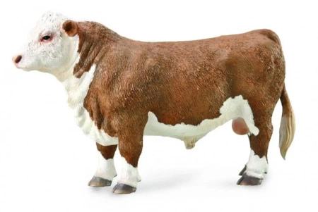 Byk hereford - Collecta