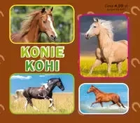 Konie. Коні - Praca zbiorowa