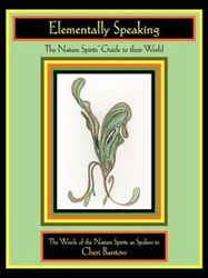 Elementally Speaking - Cheri Barstow