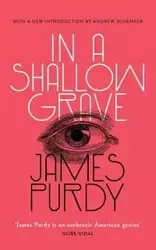 In a Shallow Grave (Valancourt 20th Century Classics) - James Purdy