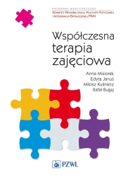 Współczesna terapia zajęciowa - Anna Misiorek
