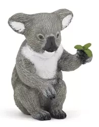 Koala - PAPO