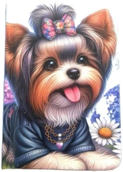 Notatnik ozdobny A7/48K gładki TW York - Fresh