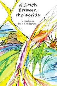 A Crack Between the Worlds - Hale Robert
