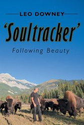 'Soultracker' - Leo Downey