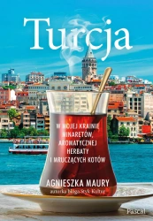 eBook Turcja. W mojej krainie minaretów, aromatycznej herbaty i mruczących kotów - Agnieszka Maury epub mobi
