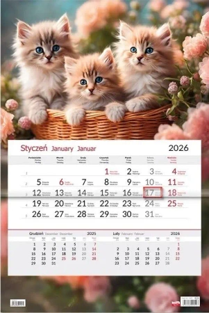 Kalendarz 2026 jednodzielny Kotki - Sapt