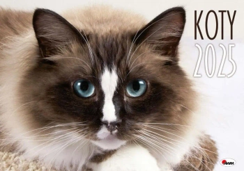 Kalendarz 2025 Koty - AWM Agencja Wydawnicza