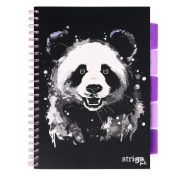 Kołozeszyt Strigo A4 Project Book Panda czarny linia