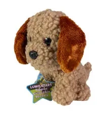 Lumo Labradoodle Poppy classic - Tactic