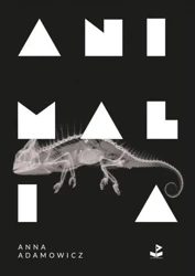 Animalia - Anna Adamowicz