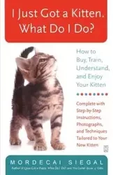 I Just Got a Kitten. What Do I Do? - Siegal Mordecai