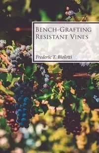 Bench-Grafting Resistant Vines - Frederic T. Bioletti