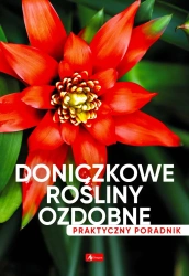 Doniczkowe rośliny ozdobne. Poradnik praktyczny - opracowanie zbiorowe