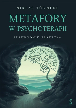 Metafory w psychoterapii. Przewodnik praktyka - Niklas Törneke, Niklas Törneke