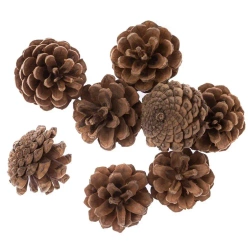 Szyszki 8szt - Dalprint dpCraft