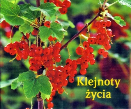Perełka 143 - Klejnoty życia - praca zbiorowa