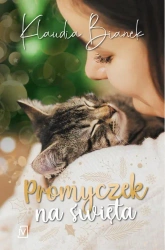 eBook Promyczek na święta - Klaudia Bianek mobi epub