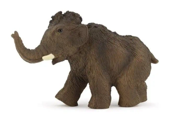 Mamut młody - PAPO