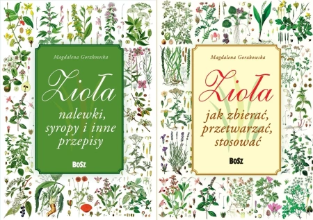 Zioła. Nalewki, syropy + Jak zbierać Gorzkowska - Magdalena Gorzkowska