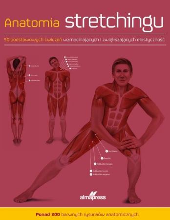 Anatomia stretchingu. 50 podstawowych ćwiczeń wzmacniających i zwiększających elastyczność - Ken Ashwell