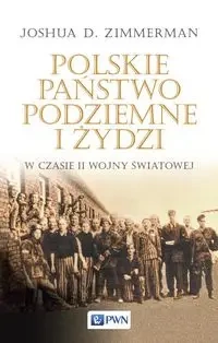 Polskie Państwo Podziemne i Żydzi w czasie II... - Joshua D. Zimmerman