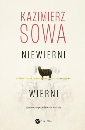 Niewierni wierni. Rozmowy o prawdziwym Kościele - Kazimierz Sowa