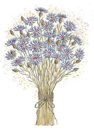 Karnet A5 Imieniny - Chabry - Henry