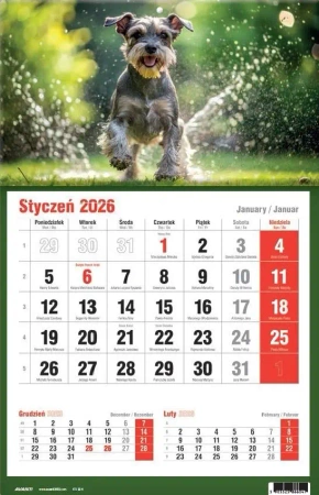 Kalendarz 2026 jednodzielny MIX - AVANTI
