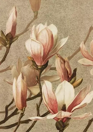 Karnet ST400 B6 + koperta Magnolia - Skona Ting