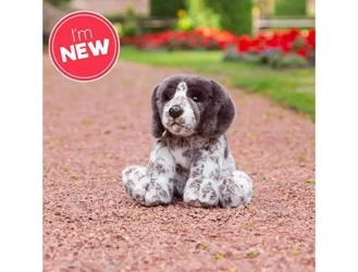 Szczeniak Pointer - One for Fun