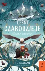 Leśni czarodzieje Tom 4 Górska wyprawa - Liz Flanagan