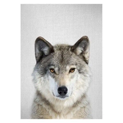 Mozaika diamentowa 5D - Wilk 40x30cm - Titanum