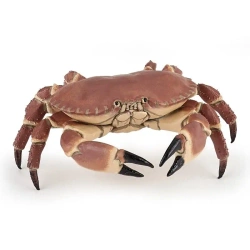 Krab - PAPO