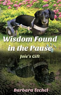 Wisdom Found in the Pause - Barbara Techel